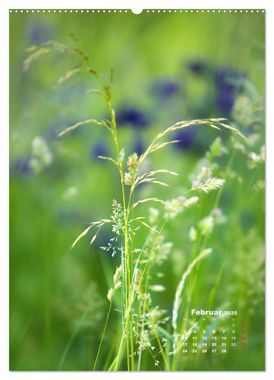 Bild: 9783457036365 | Ein Spaziergang über eine Sommerwiese (hochwertiger Premium...