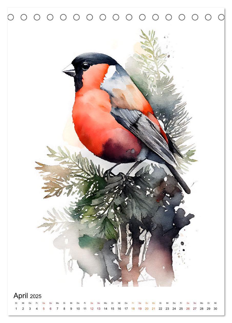 Bild: 9783435878789 | Waldtiere in Aquarell - Heimische Tierarten (Tischkalender 2025 DIN...