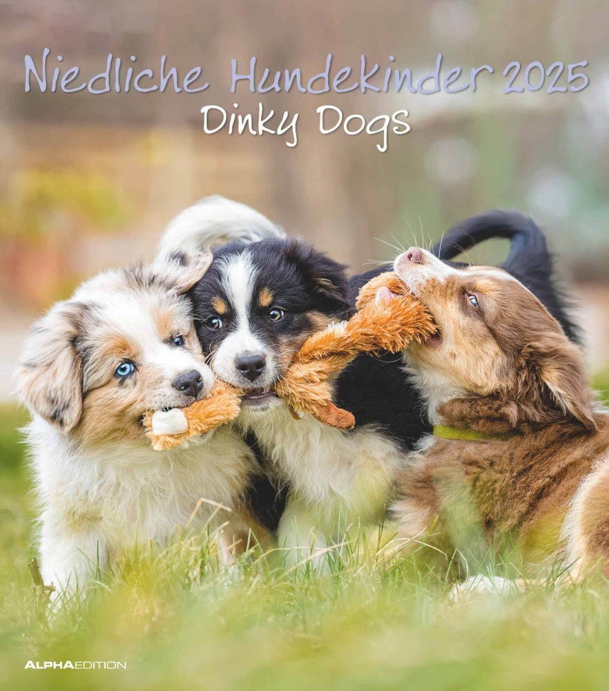 Cover: 4251732344405 | Niedliche Hundekinder 2025 - Wand-Kalender - Tier-Kalender - 30x34