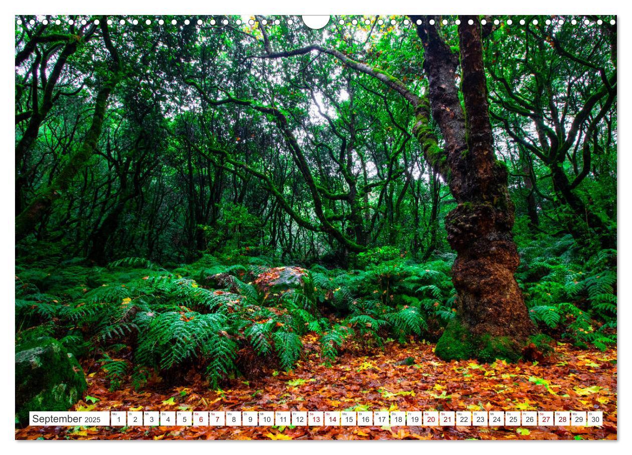 Bild: 9783383961144 | Madeira - Eine Perle im Atlantischen Ozean (Wandkalender 2025 DIN...