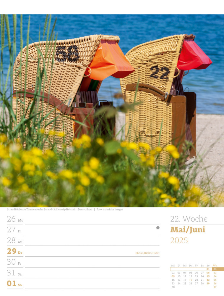 Bild: 9783838435039 | Am Meer - Wochenplaner Kalender 2025 | Ackermann Kunstverlag | 56 S.