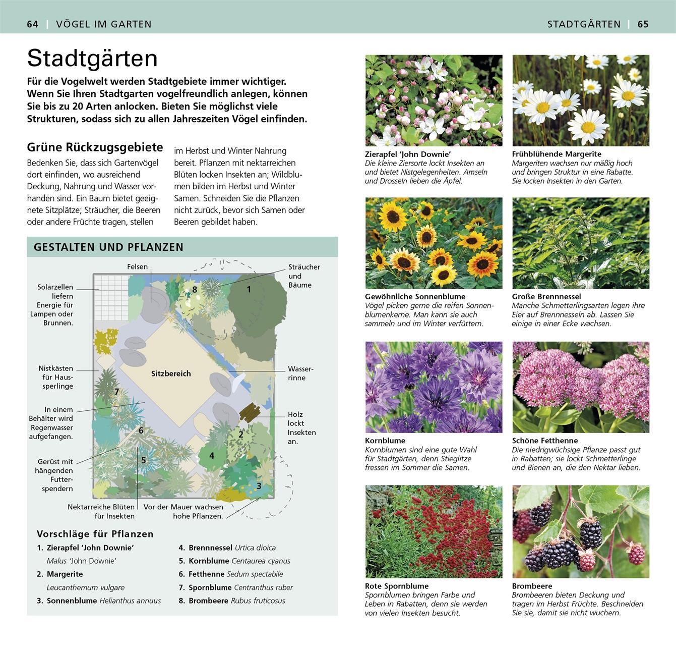 Bild: 9783831027545 | Gartenvögel beobachten und bestimmen | Mark Ward | Taschenbuch | 2015