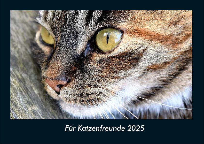 Cover: 9783755970750 | Für Katzenfreunde 2025 Fotokalender DIN A4 | Tobias Becker | Kalender