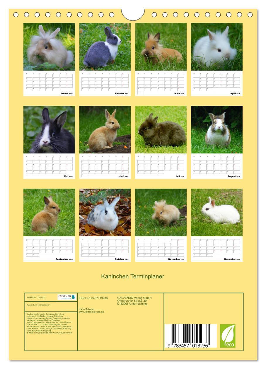 Bild: 9783457013236 | Kaninchen Terminplaner (Wandkalender 2025 DIN A4 hoch), CALVENDO...