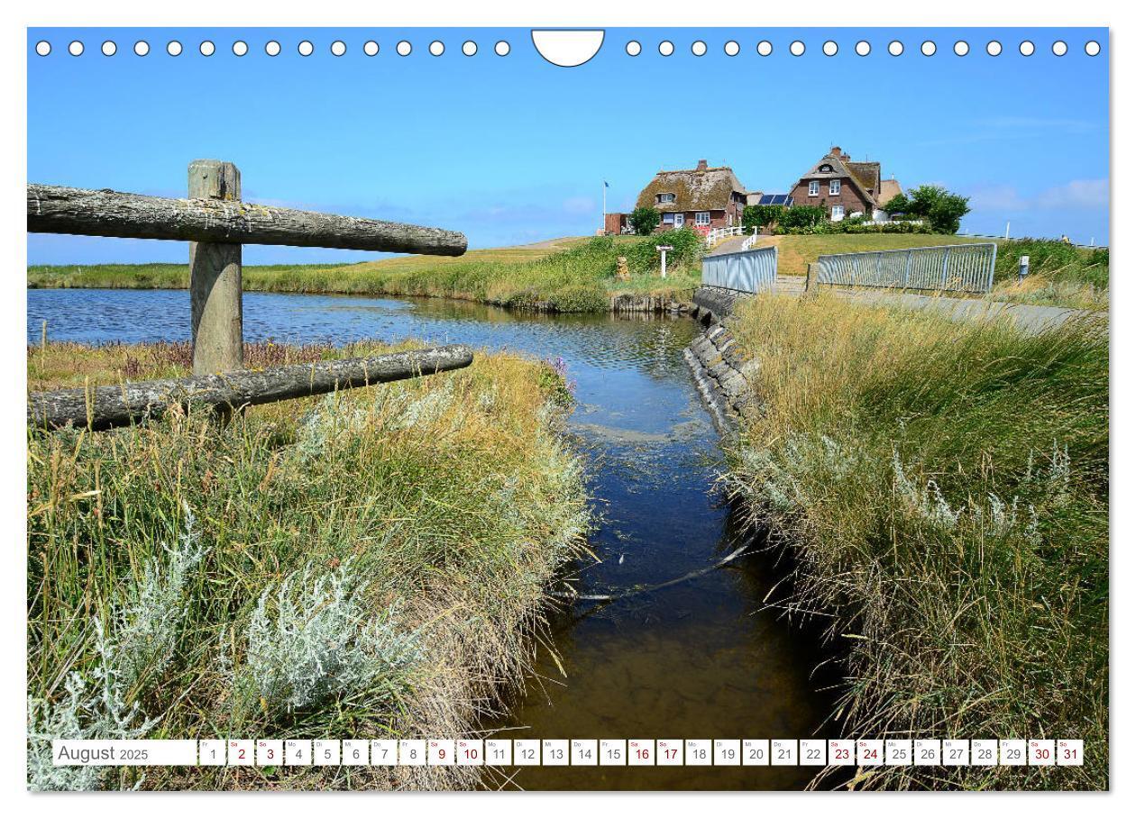 Bild: 9783435257249 | Sommertage auf Hallig Hooge (Wandkalender 2025 DIN A4 quer),...