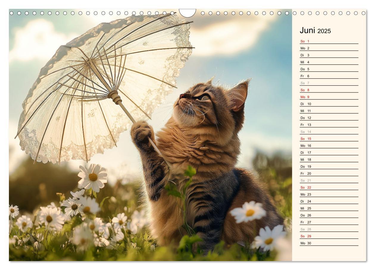 Bild: 9783457179826 | Katzen schaffen Kunst (Wandkalender 2025 DIN A3 quer), CALVENDO...