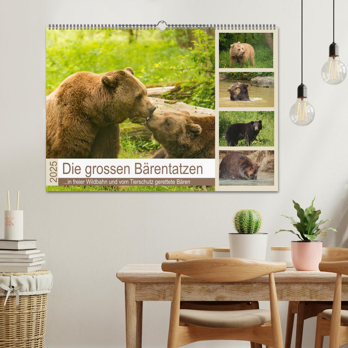 Bild: 9783435444434 | Die grossen Bärentatzen (Wandkalender 2025 DIN A2 quer), CALVENDO...