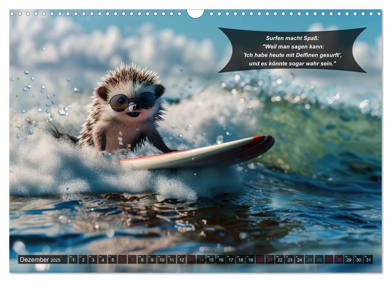 Bild: 9783457156063 | Der tierisch lustige Surfkalender (Wandkalender 2025 DIN A3 quer),...