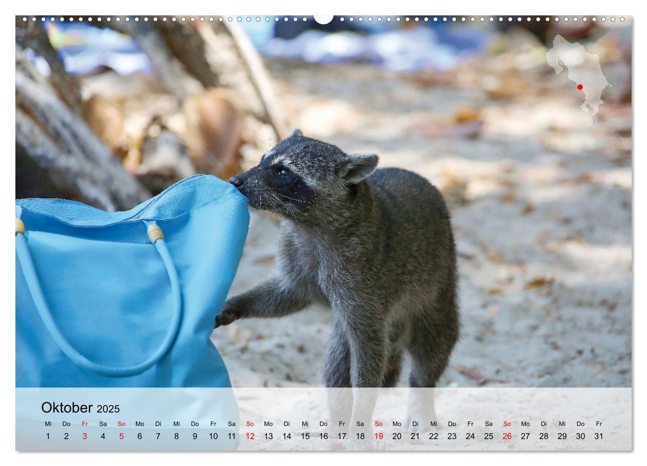 Bild: 9783435017430 | Costa Rica - Panama - Nicaragua (Wandkalender 2025 DIN A2 quer),...