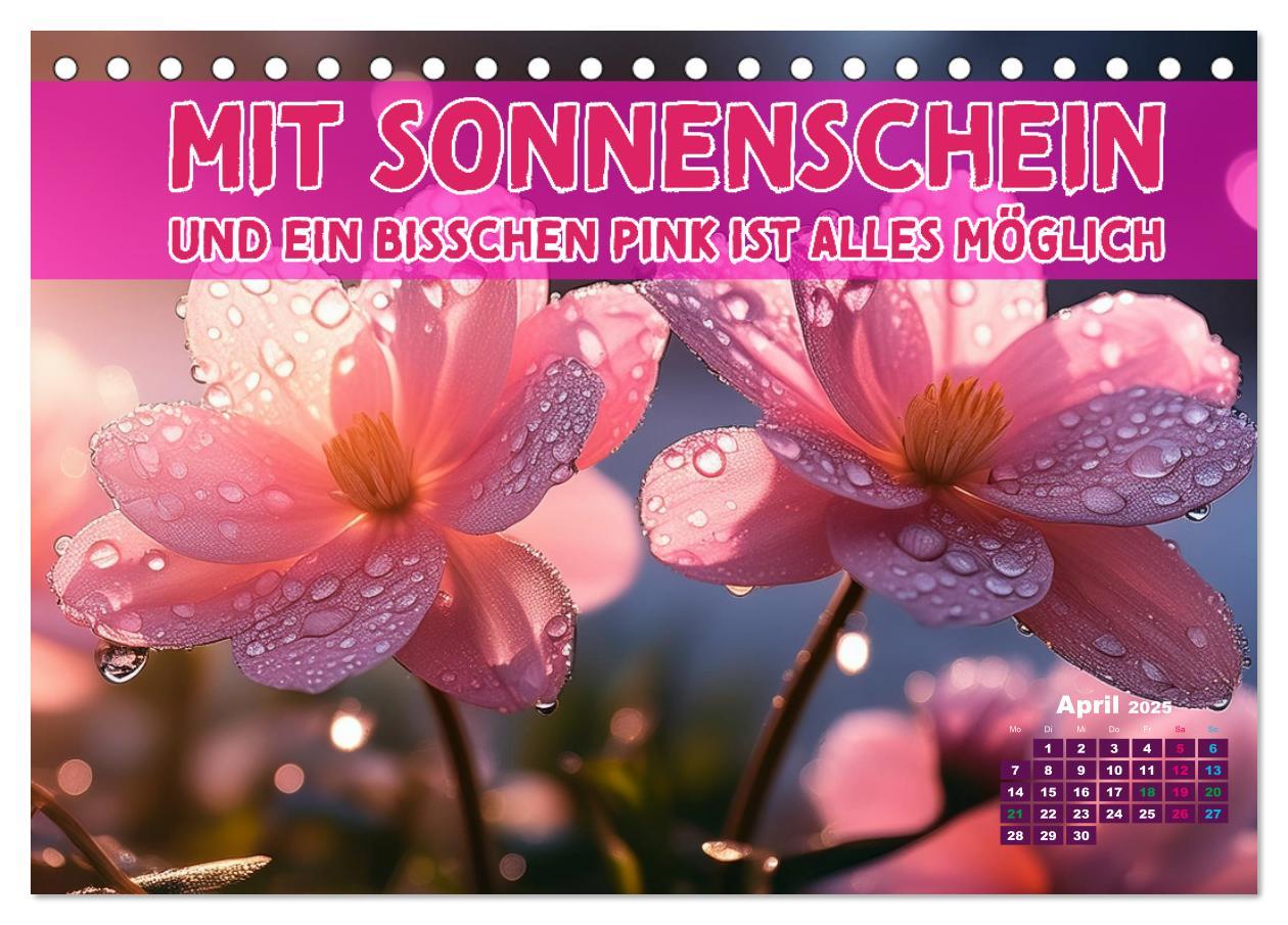 Bild: 9783457224052 | Lieblingsfarbe Rosa - mit coolen Sprüchen (Tischkalender 2025 DIN...