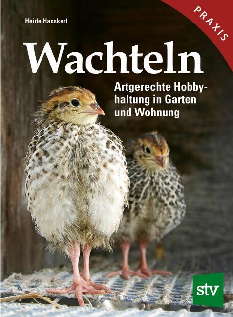 Cover: 9783702020088 | Wachteln | Artgerechte Hobbyhaltung in Garten und Wohnung | Hasskerl