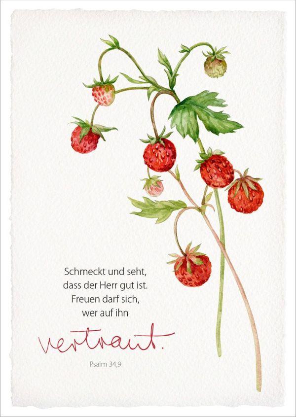 Bild: 4029856840857 | GartenGlück - Postkartenset | 18 Postkarten mit Bibelversen | Plato