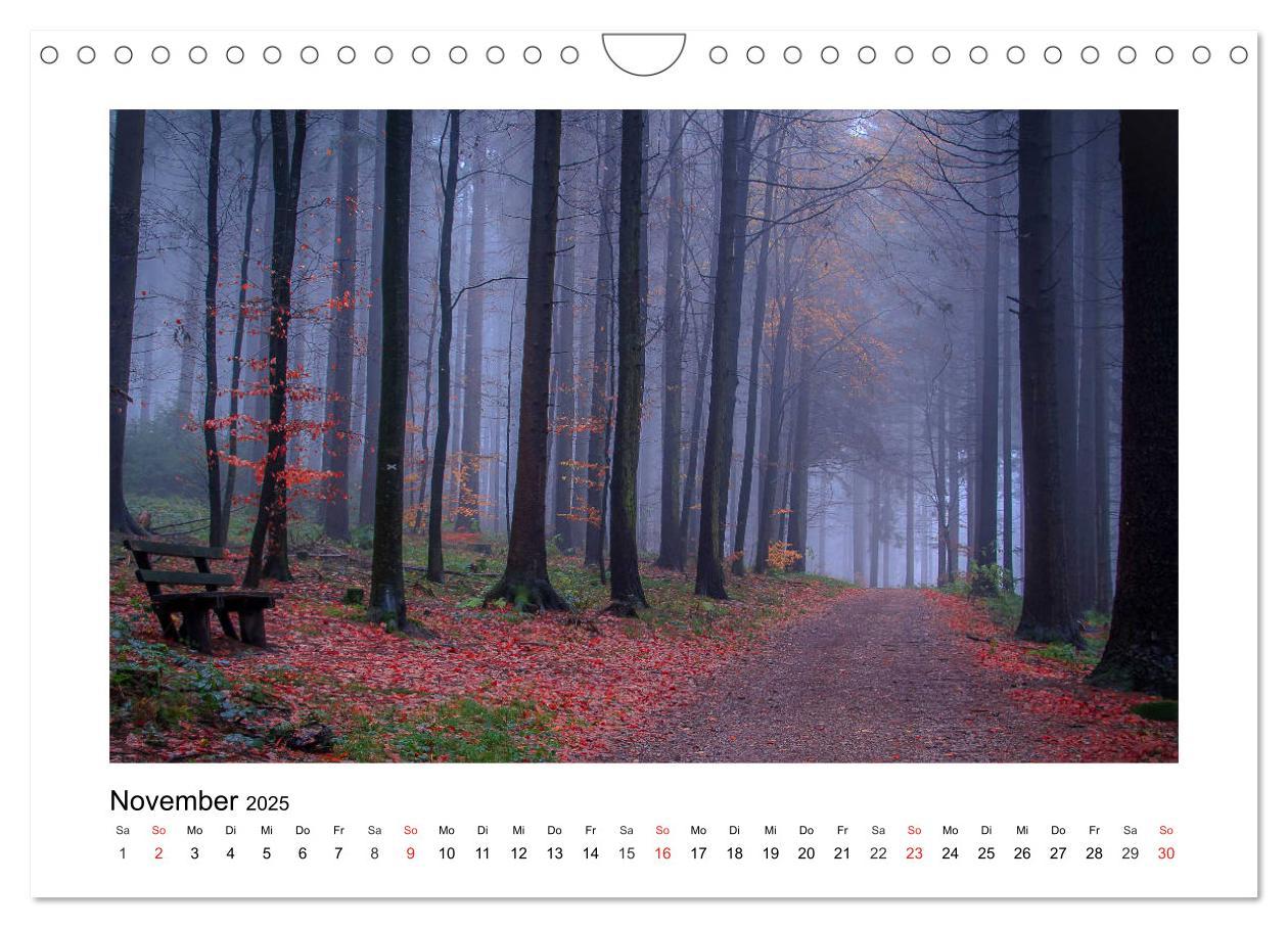 Bild: 9783435194742 | Eindrücke aus der Natur (Wandkalender 2025 DIN A4 quer), CALVENDO...