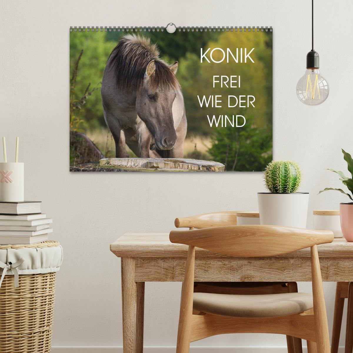 Bild: 9783435573127 | Konik - Frei geboren (Wandkalender 2025 DIN A3 quer), CALVENDO...