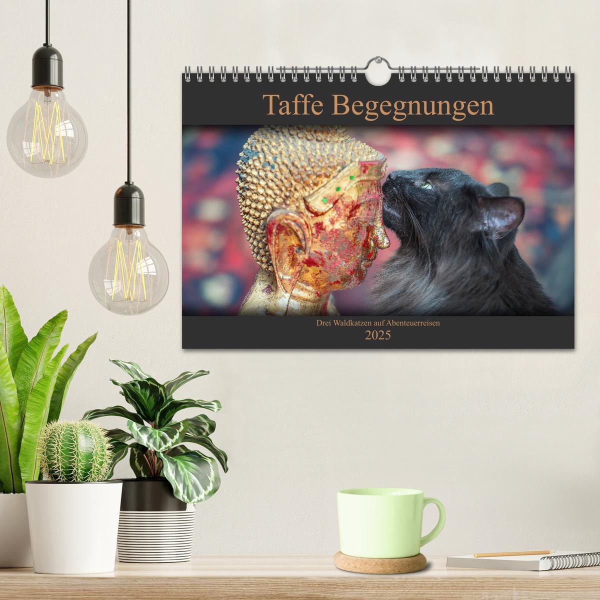 Bild: 9783435499151 | Taffe Begegnungen-Drei Waldkatzen auf Abenteuerreisen (Wandkalender...