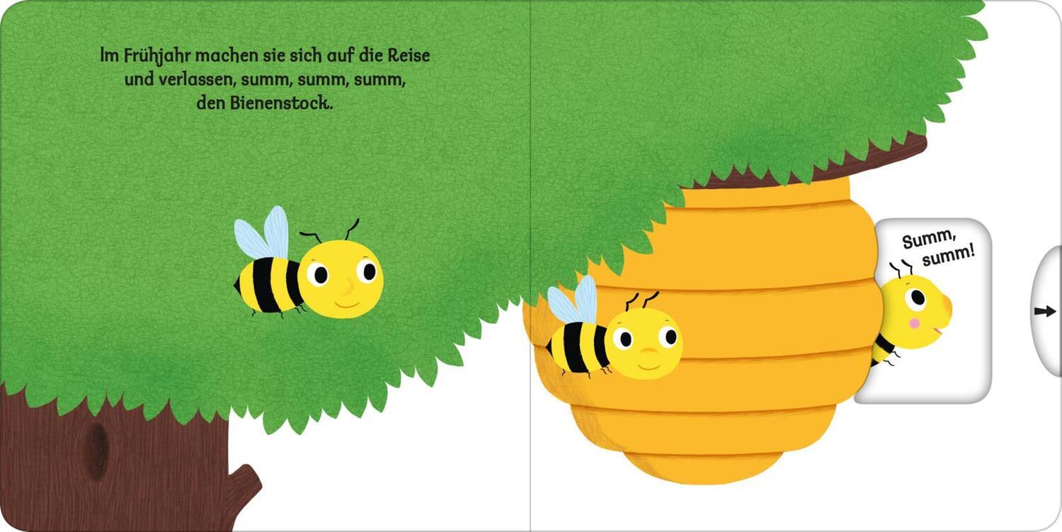 Bild: 9783845836713 | Mein erstes Buch von den Bienen | Buch | Mein erstes Buch | 12 S.