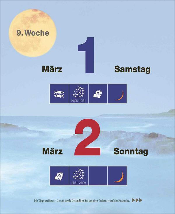 Bild: 9783731877448 | Mond Abreißkalender 2025 | Verlag Korsch | Kalender | 328 S. | Deutsch