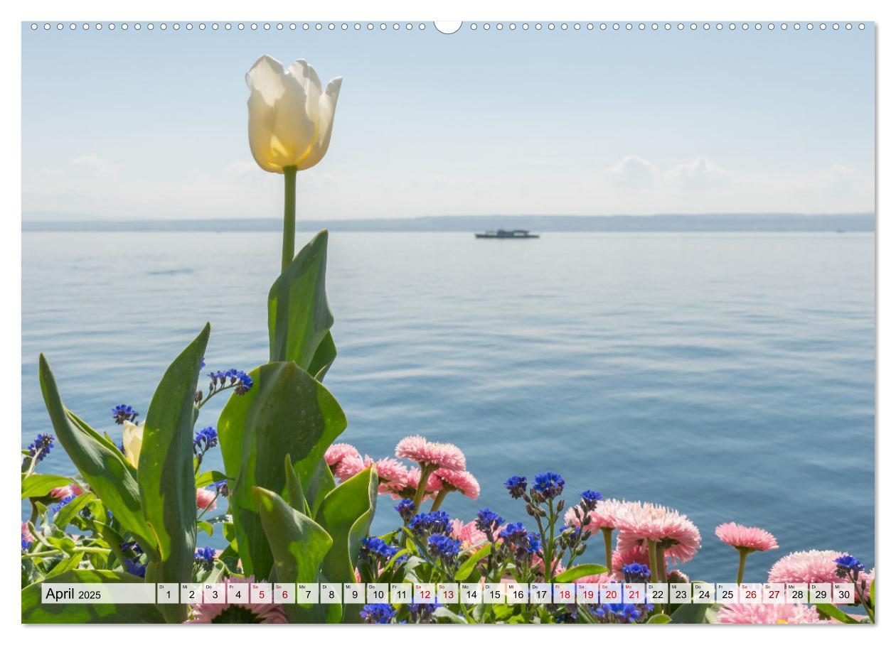 Bild: 9783435071357 | Traumhafter Bodensee (Wandkalender 2025 DIN A2 quer), CALVENDO...