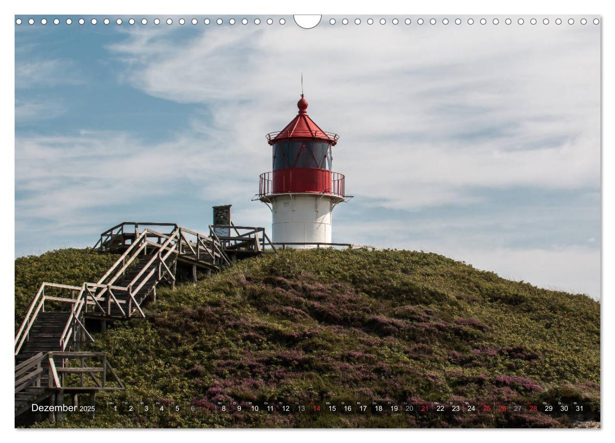 Bild: 9783435271429 | Amrum Insel am Wattenmeer (Wandkalender 2025 DIN A3 quer), CALVENDO...