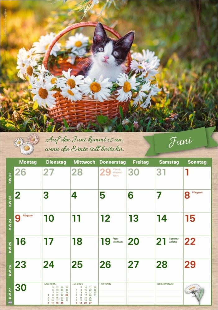 Bild: 9783756408726 | Rentnerkalender 2025 | Kalender | Spiralbindung | 25 S. | Deutsch