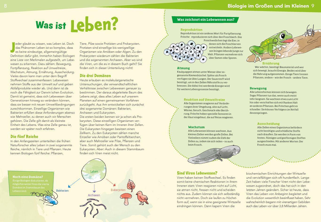 Bild: 9783788676957 | WAS IST WAS Naturwissenschaften easy! Biologie. Die Viren und wir