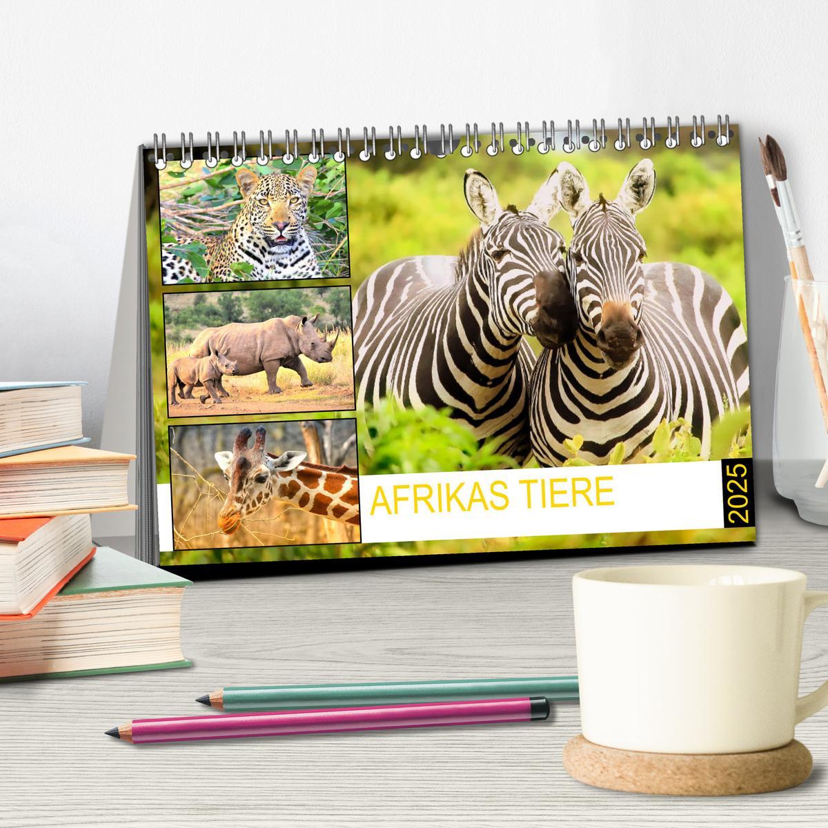 Bild: 9783435088874 | Afrikas Tiere. Majestäten in exotischer Wildnis (Tischkalender 2025...