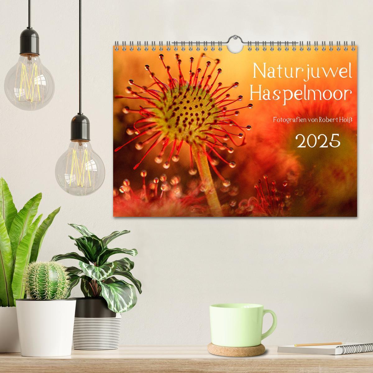 Bild: 9783383812101 | Naturjuwel Haspelmoor (Wandkalender 2025 DIN A4 quer), CALVENDO...