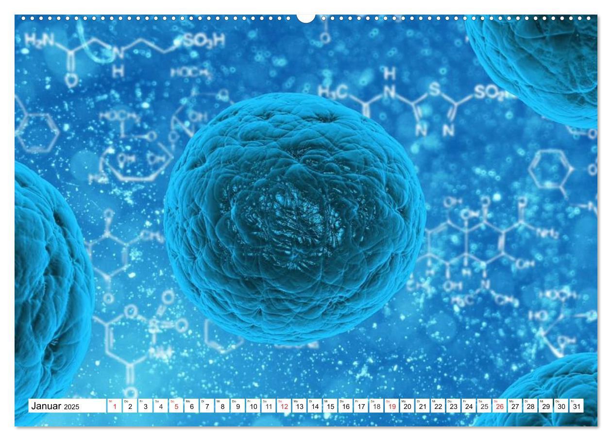 Bild: 9783435474097 | Mikrobiologie. Mikroorganismen, Genetik und Zellen (hochwertiger...