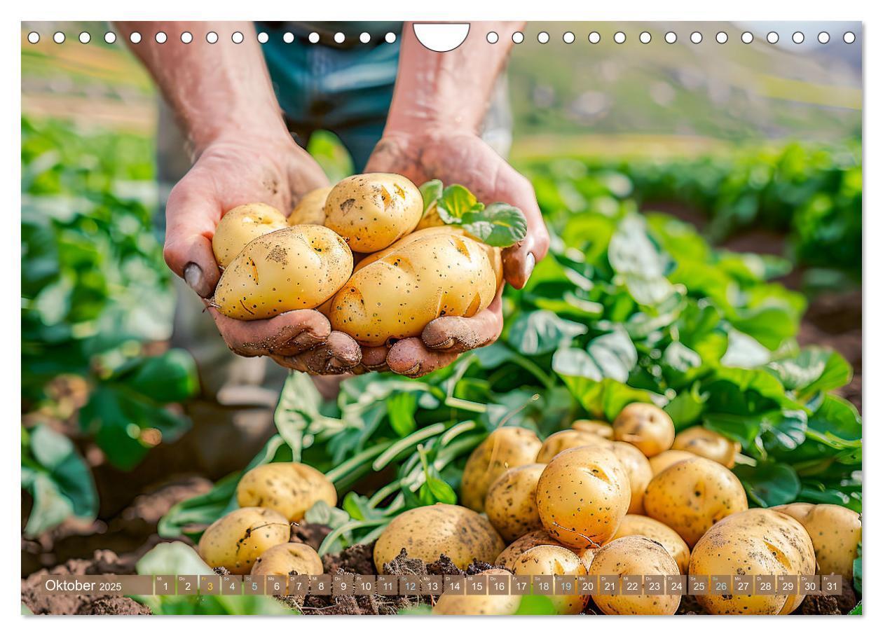 Bild: 9783383795572 | Mein Gemüsegarten - Ein Jahr knackig frisches Gemüse (Wandkalender...