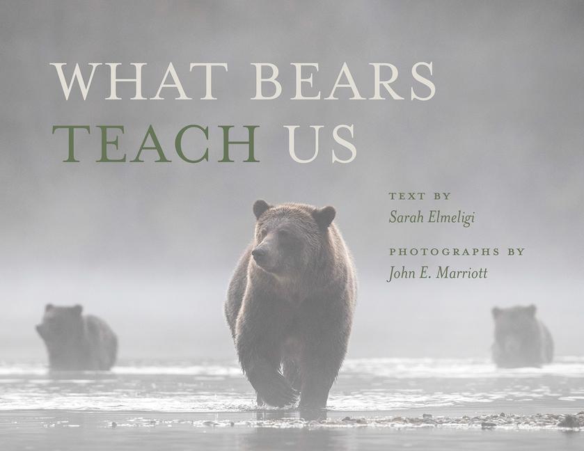 Cover: 9781771606943 | What Bears Teach Us | Sarah Elmeligi | Taschenbuch | Englisch | 2024