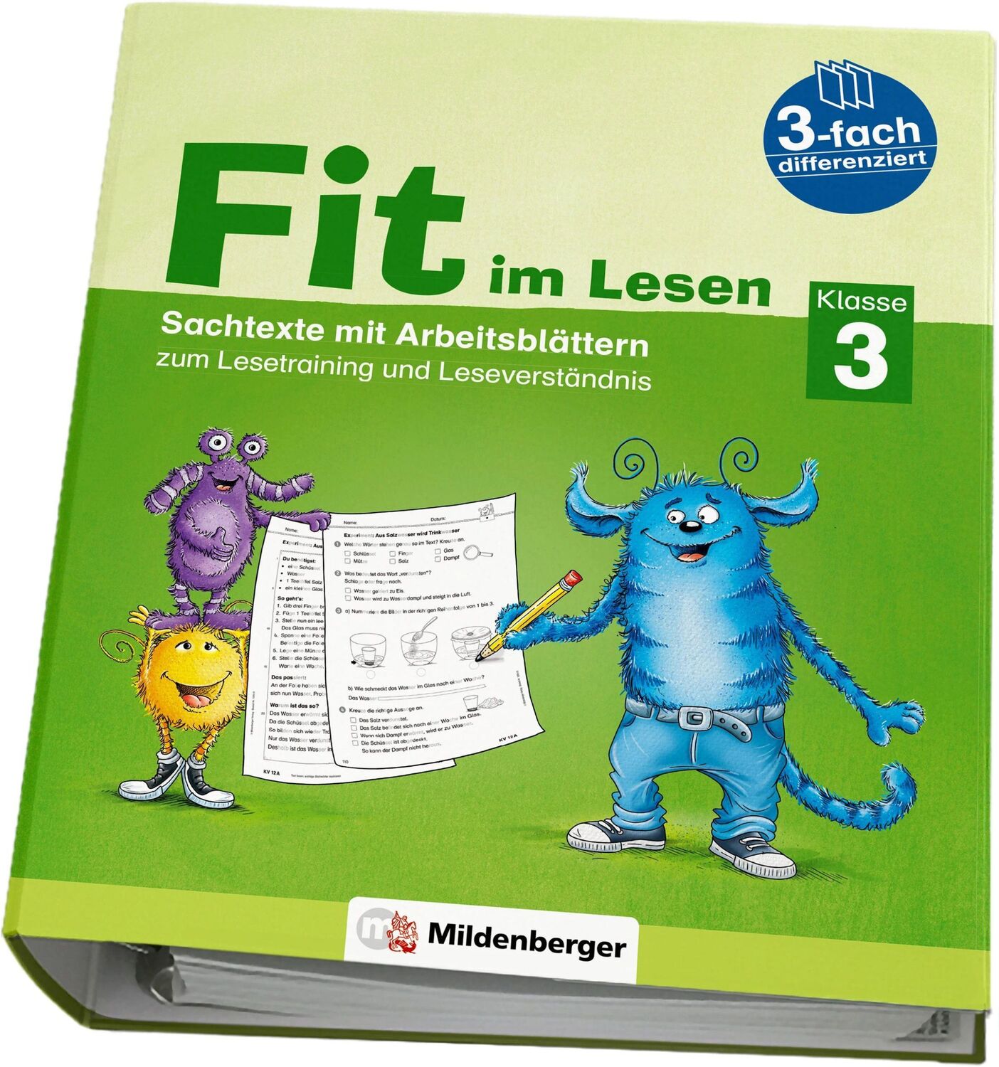 Cover: 9783619120314 | Fit im Lesen - Sachtexte, Klasse 3 | Sabine Stehr (u. a.) | Stück