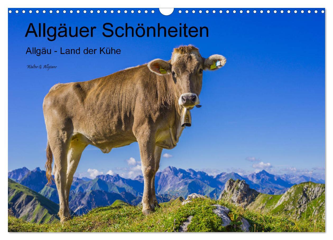 Cover: 9783435347469 | Allgäuer Schönheiten Allgäu - Land der Kühe (Wandkalender 2025 DIN...