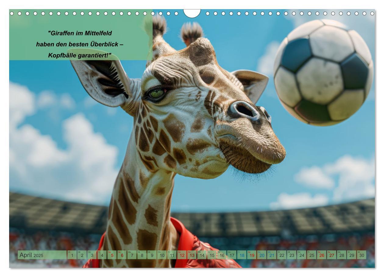 Bild: 9783457152713 | Der tierisch lustige Fußballkalender (Wandkalender 2025 DIN A3...