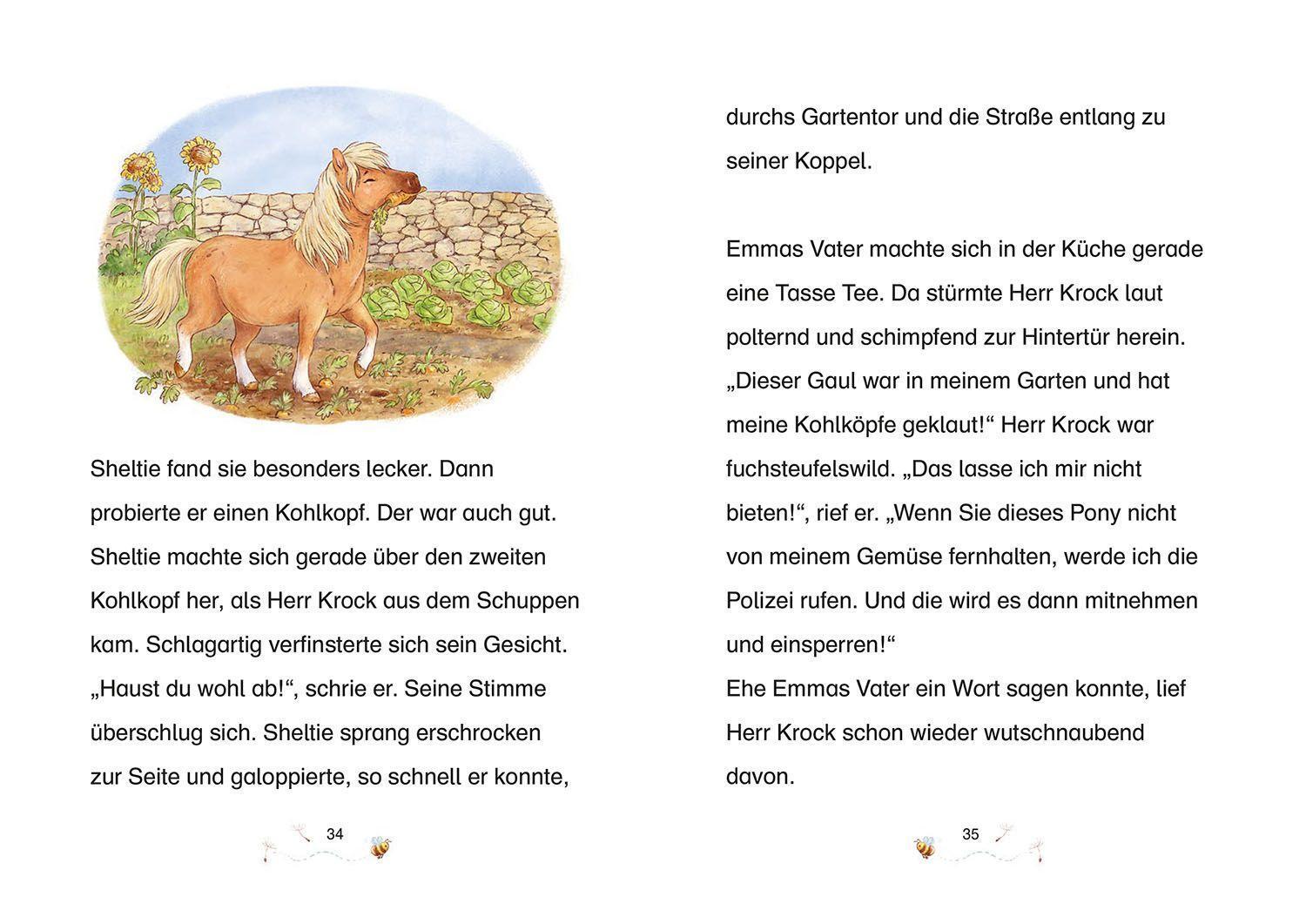 Bild: 9783440170359 | Sheltie - Wie Sheltie zu uns kam | Peter Clover | Buch | Deutsch