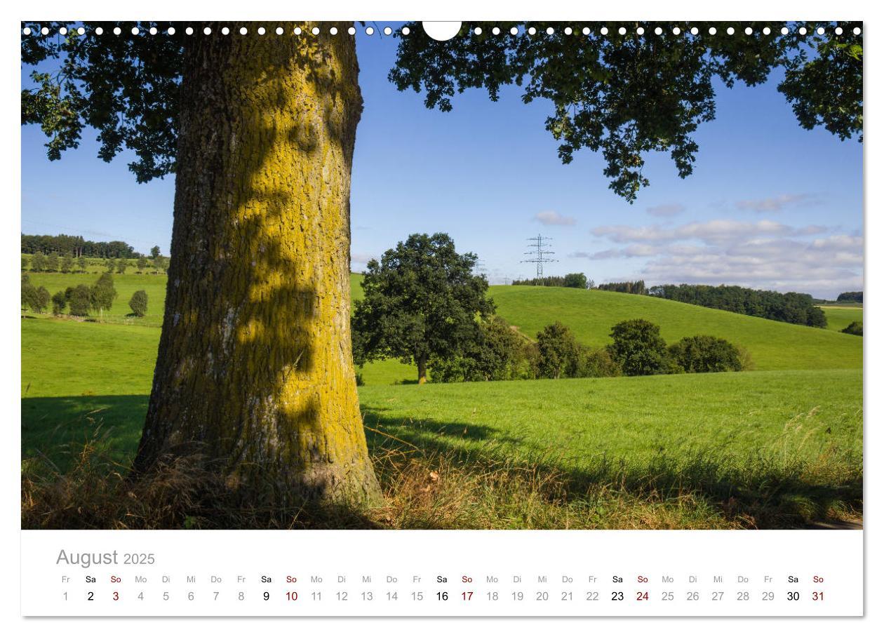 Bild: 9783435397594 | Schönes Sauerland (Wandkalender 2025 DIN A3 quer), CALVENDO...