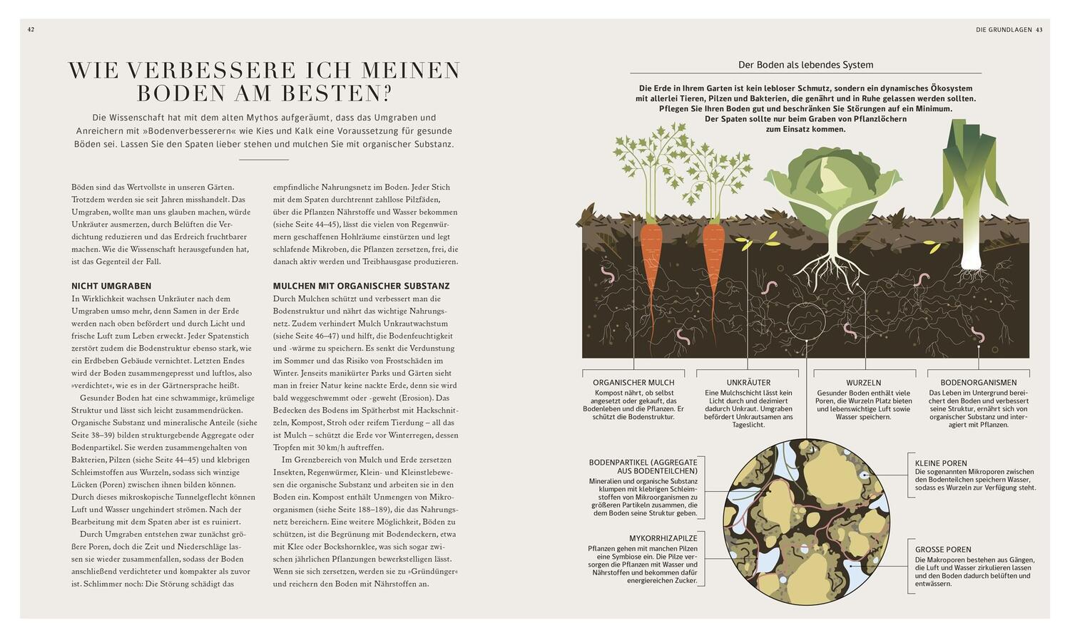 Bild: 9783831047512 | 100 Fragen und Antworten zum Gärtnern | Stuart Farrimond | Buch | 2024