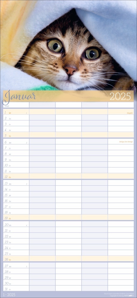 Bild: 9783839901038 | Cool Cats Familienplaner 2025 | Marie-Luce Hubert (u. a.) | Kalender