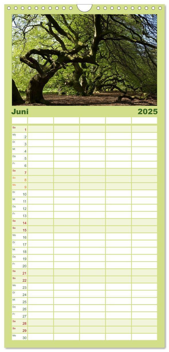 Bild: 9783457126318 | Familienplaner 2025 - Baum-Variationen mit 5 Spalten (Wandkalender,...