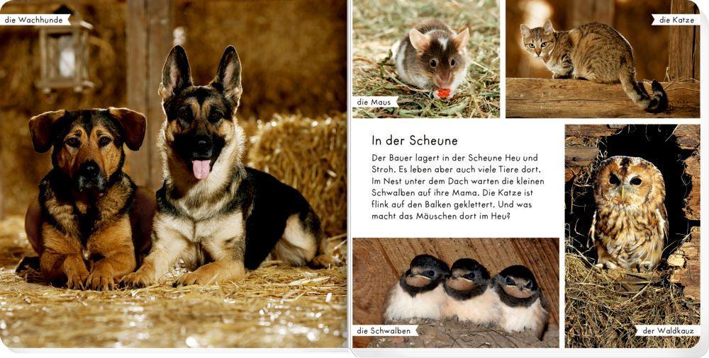 Bild: 9783649644873 | Meine liebsten Tiere auf dem Bauernhof | Buch | Pappe; matt | 28 S.