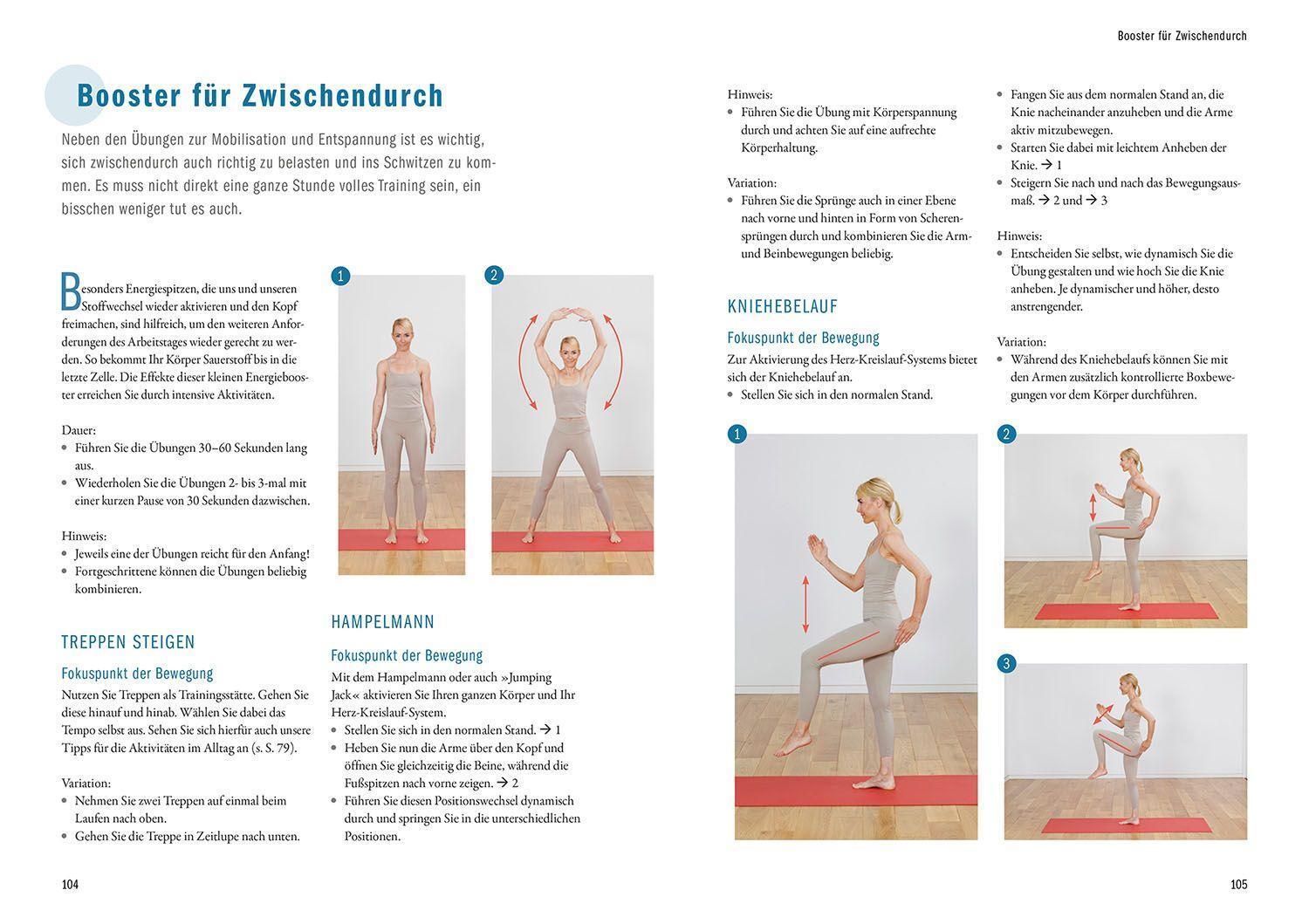 Bild: 9783968590301 | Der große Homeoffice Guide | Ingo Froböse (u. a.) | Taschenbuch | 2022