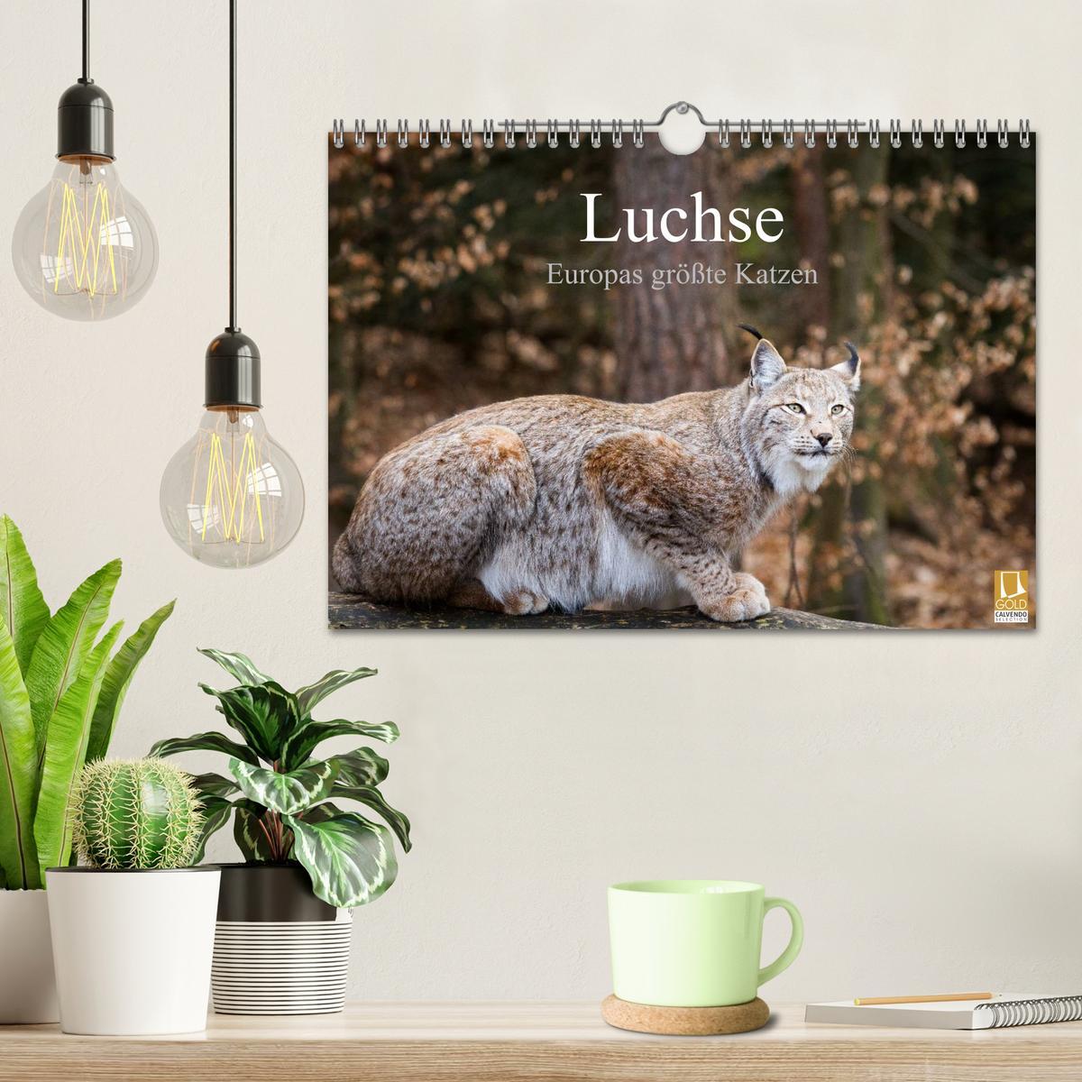 Bild: 9783435606146 | Luchse - Europas größte Katzen (Wandkalender 2025 DIN A4 quer),...