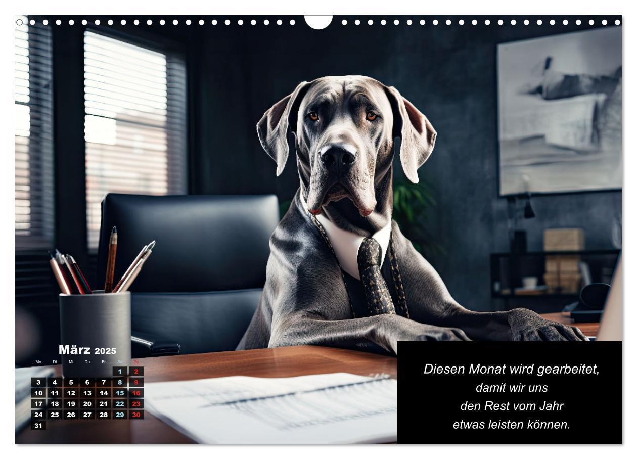 Bild: 9783435722631 | Der humoristische Dogge Kalender (Wandkalender 2025 DIN A3 quer),...