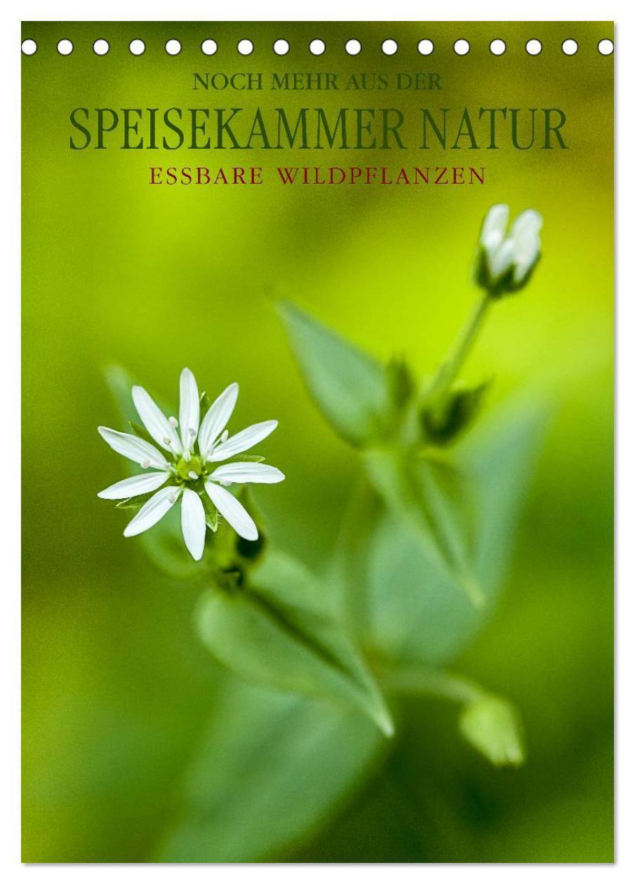 Cover: 9783457048917 | NOCH MEHR AUS DER SPEISEKAMMER NATUR (Tischkalender 2025 DIN A5...