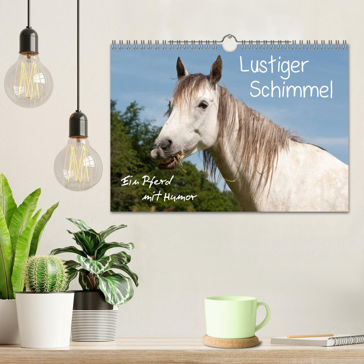 Bild: 9783435516353 | Lustiger Schimmel - ein Pferd mit Humor (Wandkalender 2025 DIN A4...