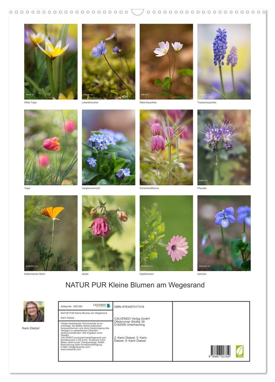 Bild: 9783457017319 | NATUR PUR Kleine Blumen am Wegesrand (Wandkalender 2025 DIN A2...