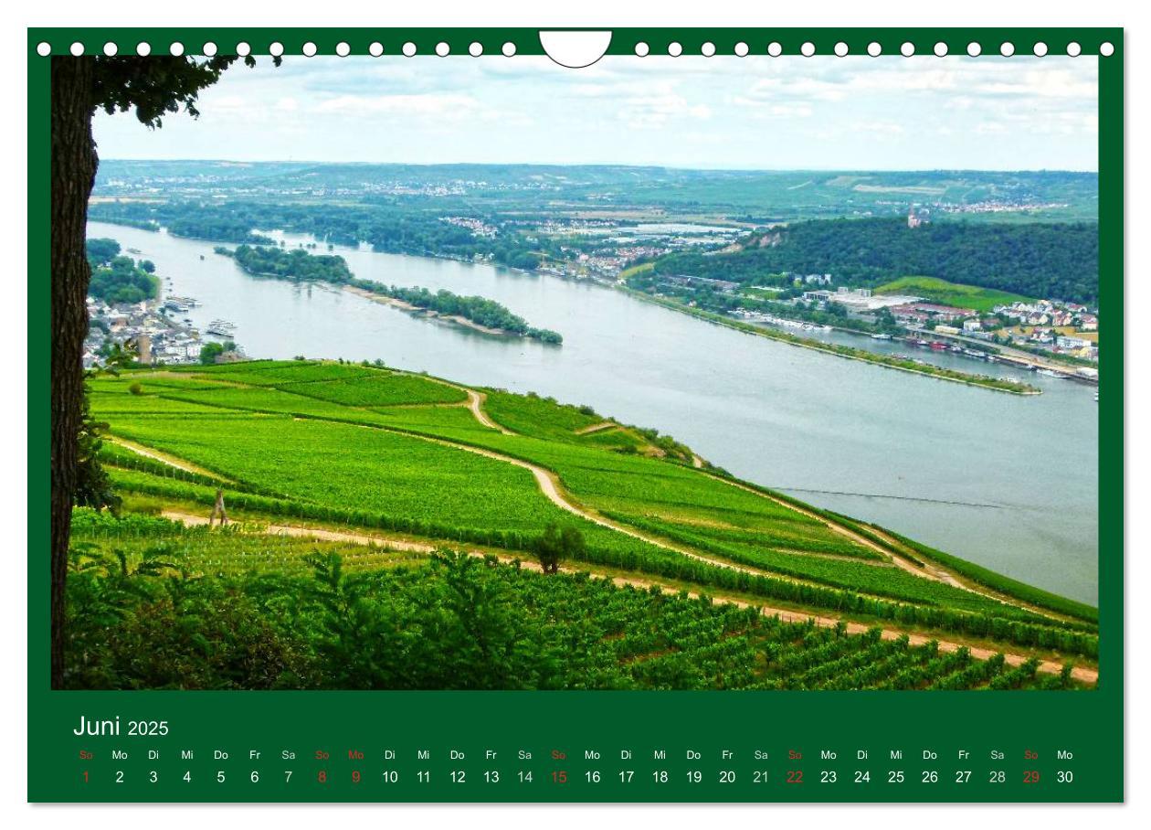 Bild: 9783435792481 | Im Rheingau (Wandkalender 2025 DIN A4 quer), CALVENDO Monatskalender