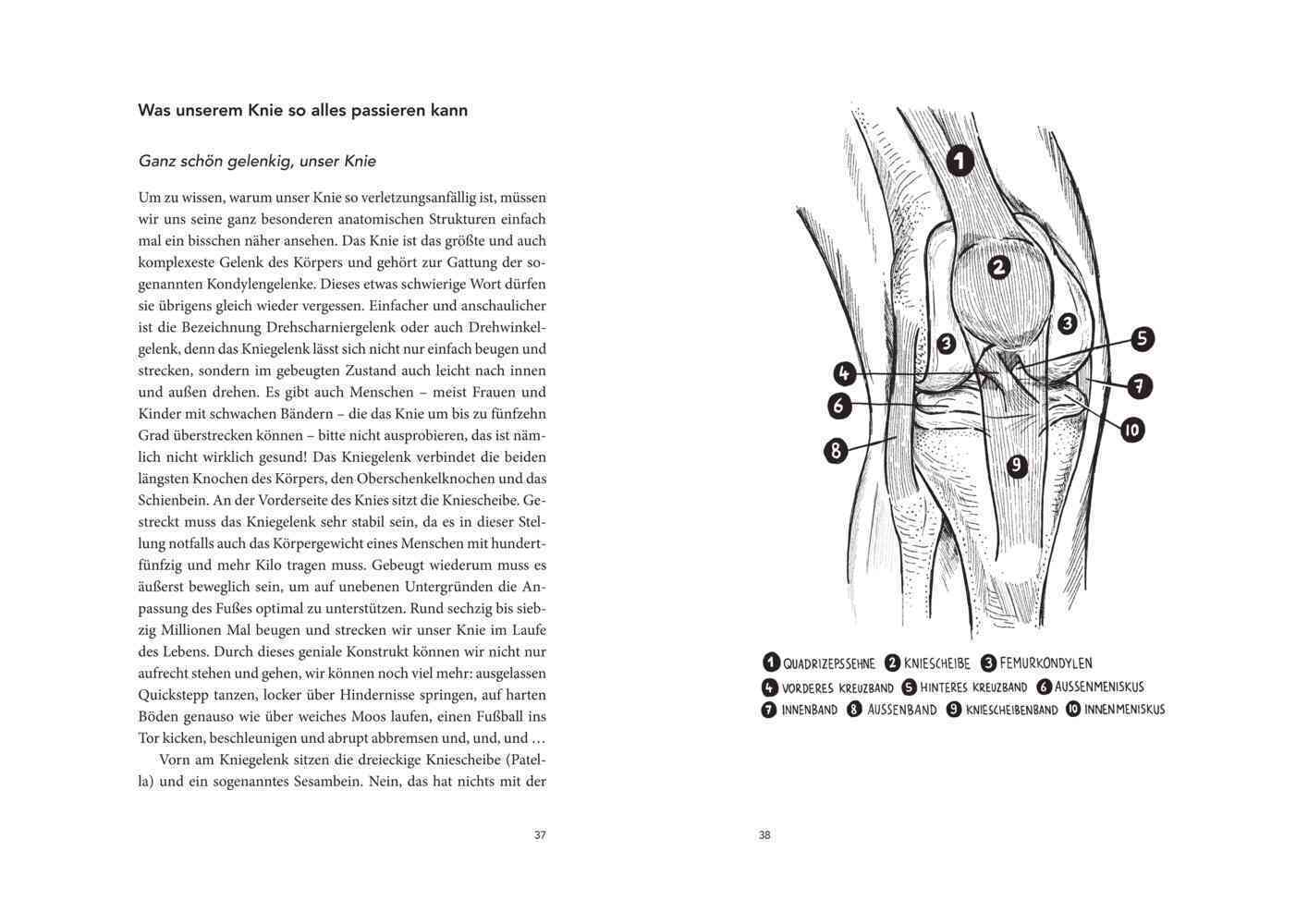 Bild: 9783841906809 | Der Knie-Fall | Manuel Köhne | Taschenbuch | 224 S. | Deutsch | 2019