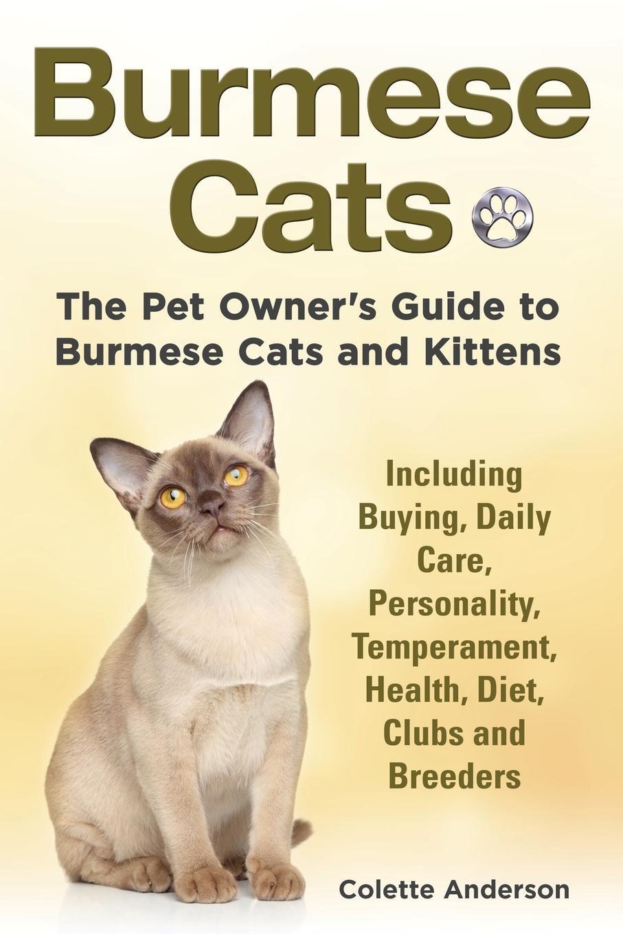 Cover: 9781909820616 | Burmese Cats, The Pet Owner's Guide to Burmese Cats and Kittens...