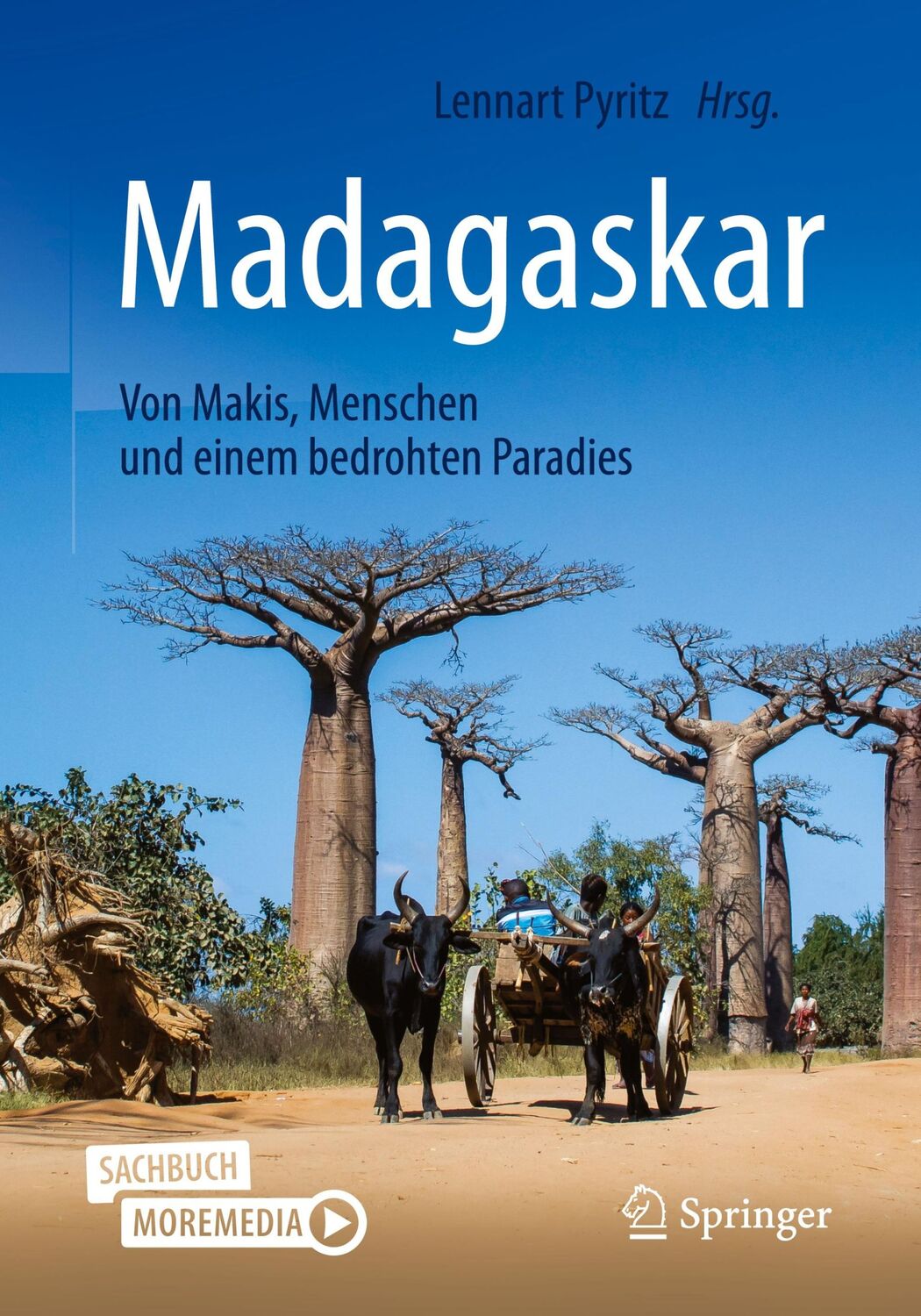 Cover: 9783662615898 | Madagaskar - Von Makis, Menschen und einem bedrohten Paradies | Pyritz