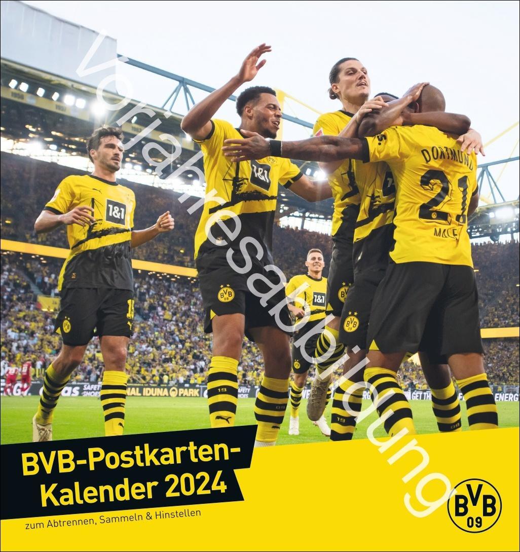 Cover: 9783756405473 | BVB Postkartenkalender 2025 | Heye | Kalender | Spiralbindung | 13 S.